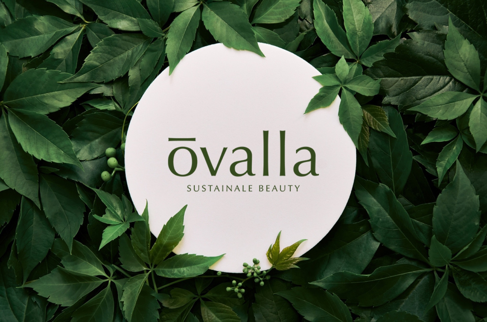 오벨라 — OVELLA 01