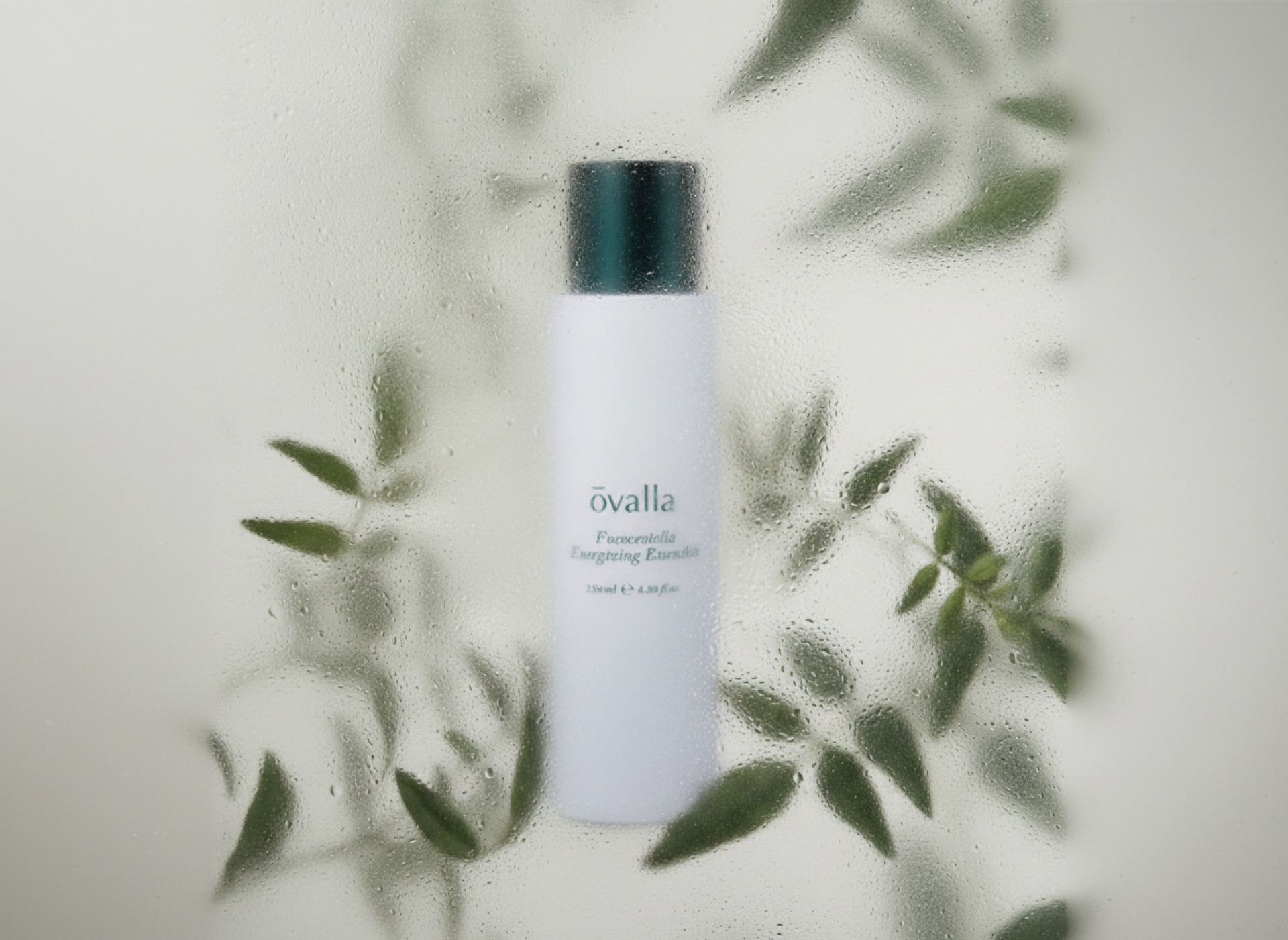 오벨라 — OVELLA 02